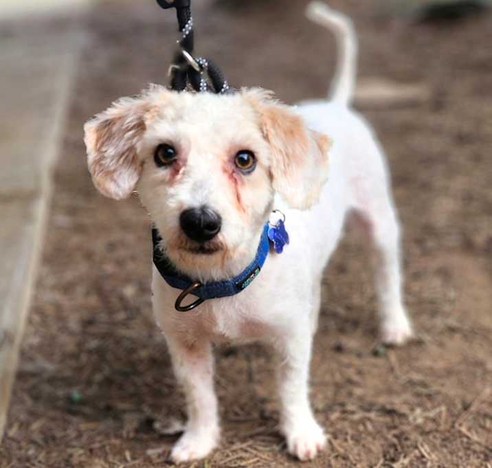 Photo of Paxon(27) - Chino Hills Location