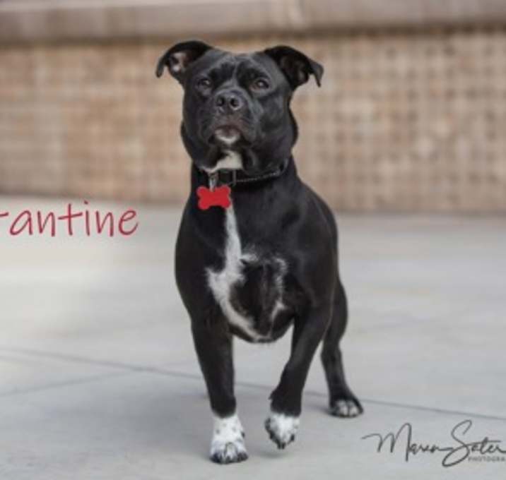 Photo of Constantine