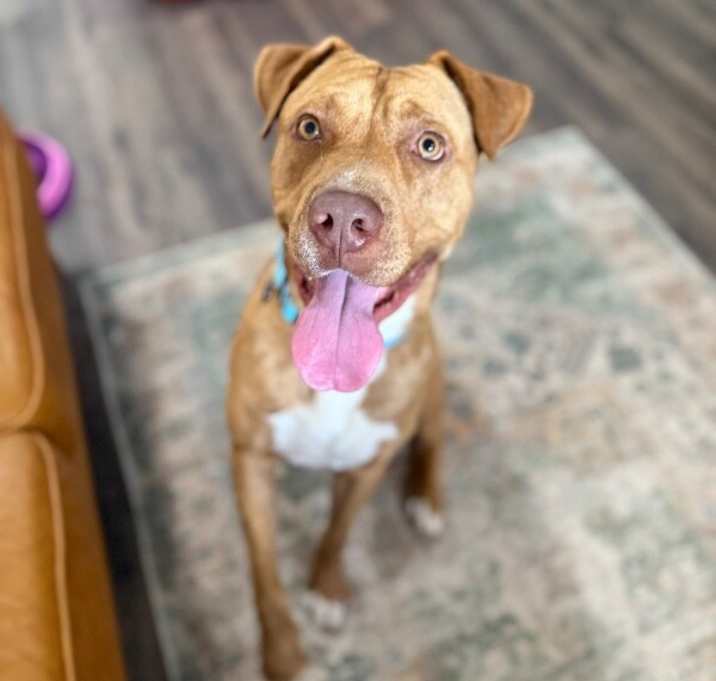 Photo of Kayne lovely