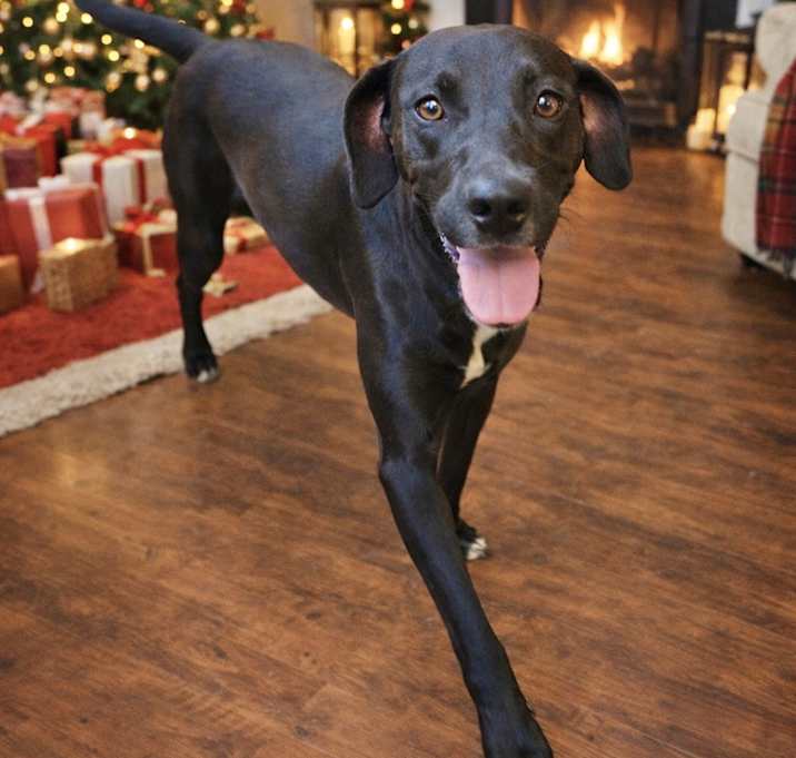 Photo of Electra in CT