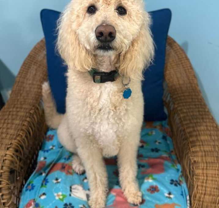 Photo of Elvis Nov 25