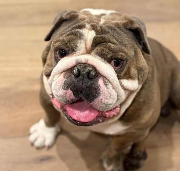 Photo of Juancito Jackson