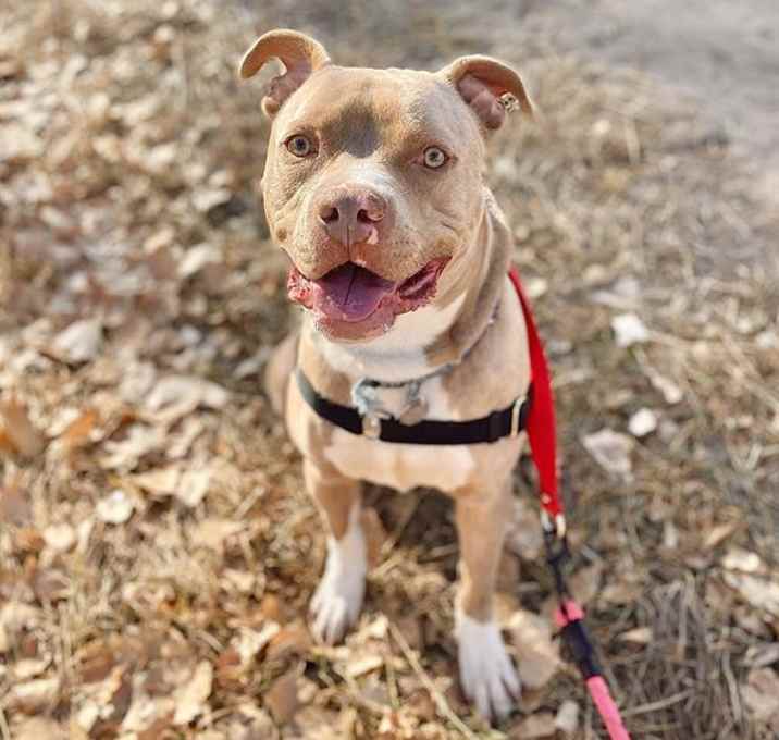 Photo of BUTTERFINGER