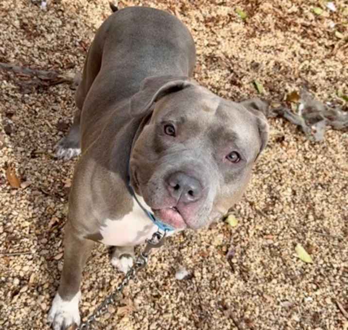 Photo of Lonnie Girl