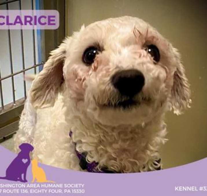 Photo of Clarice