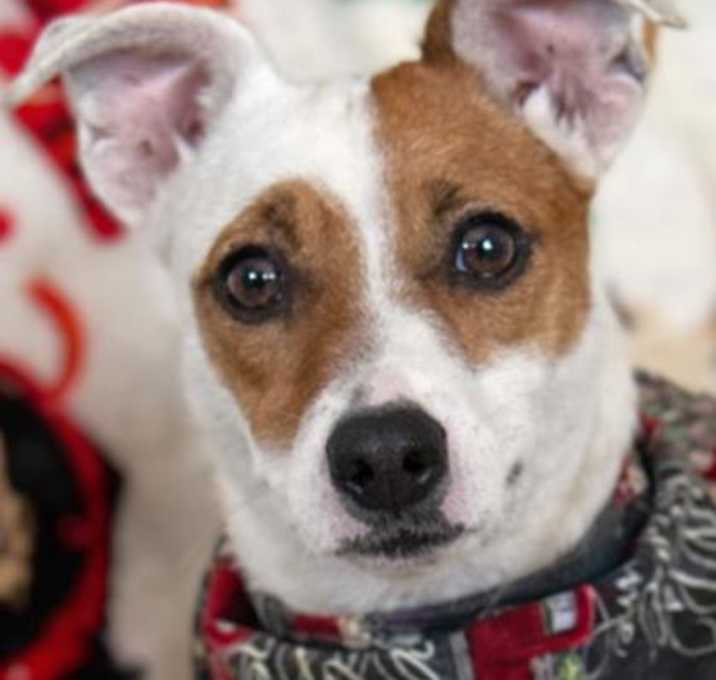 Photo of Biggie Smalls