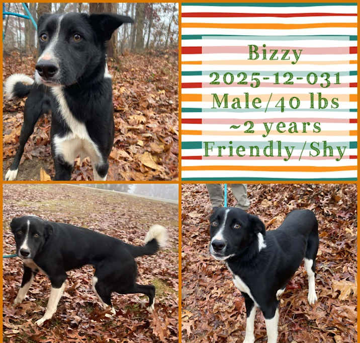 Photo of 2025-12-031 *Logan*