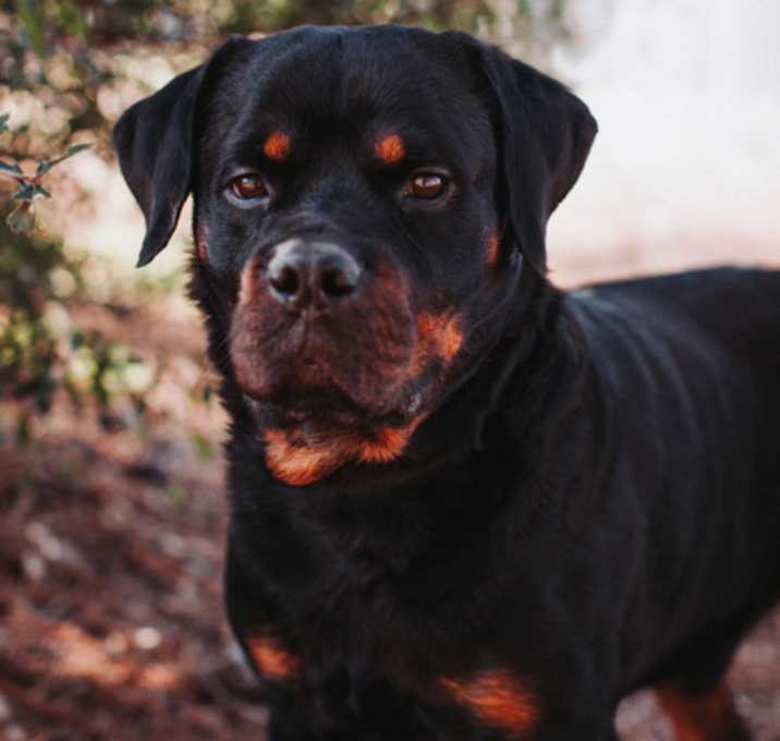 Photo of 89740A Lucky