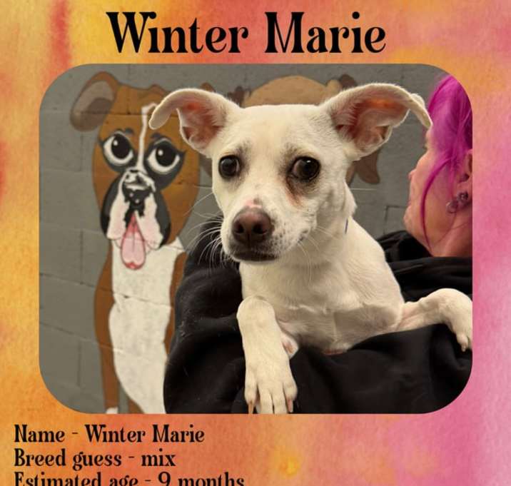 Photo of Winter Marie