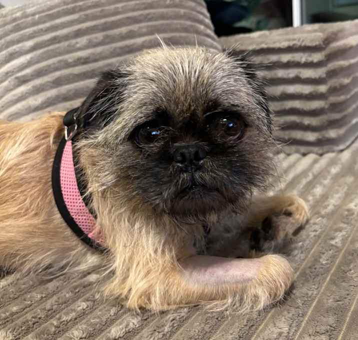 Photo of Mama Bear (Sprout)