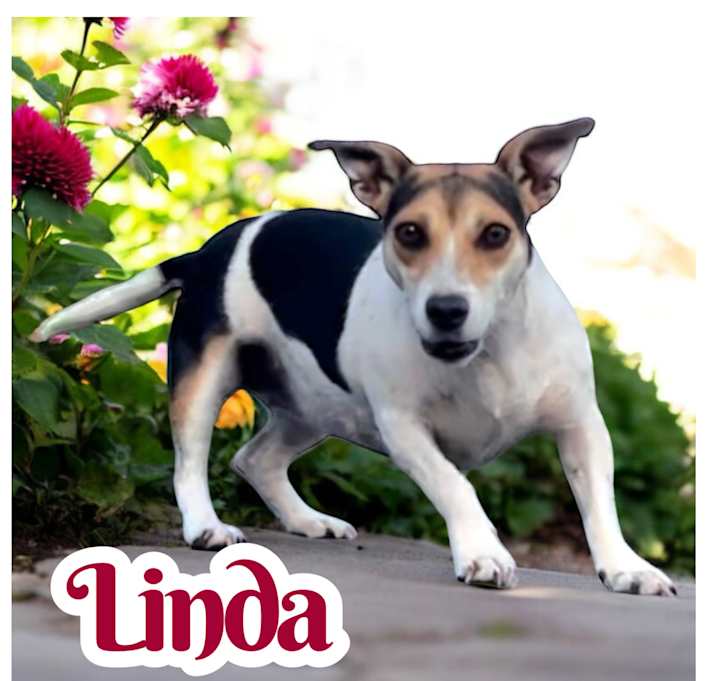 Photo of Listen Linda