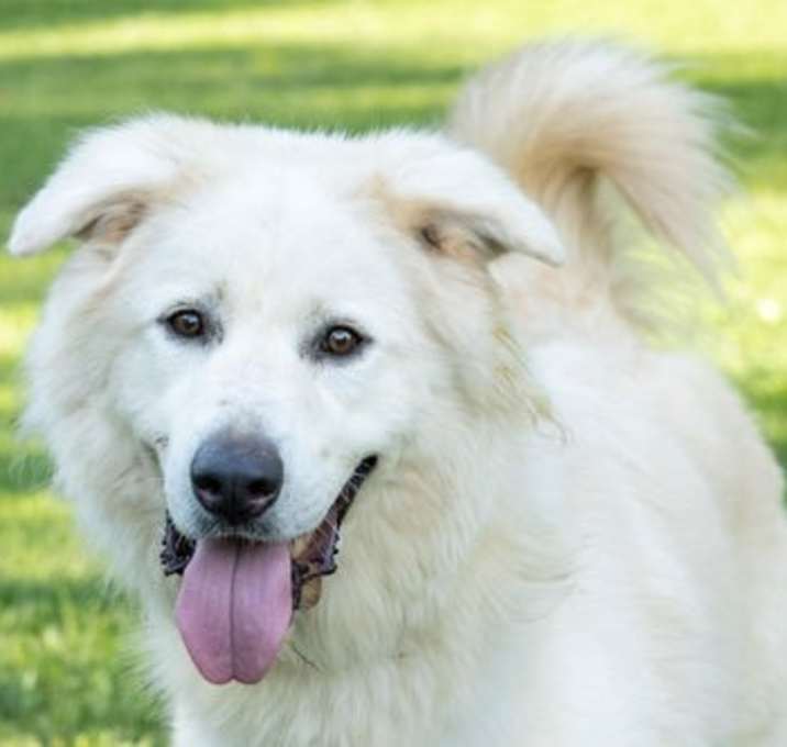 Photo of JACK JUNIOR