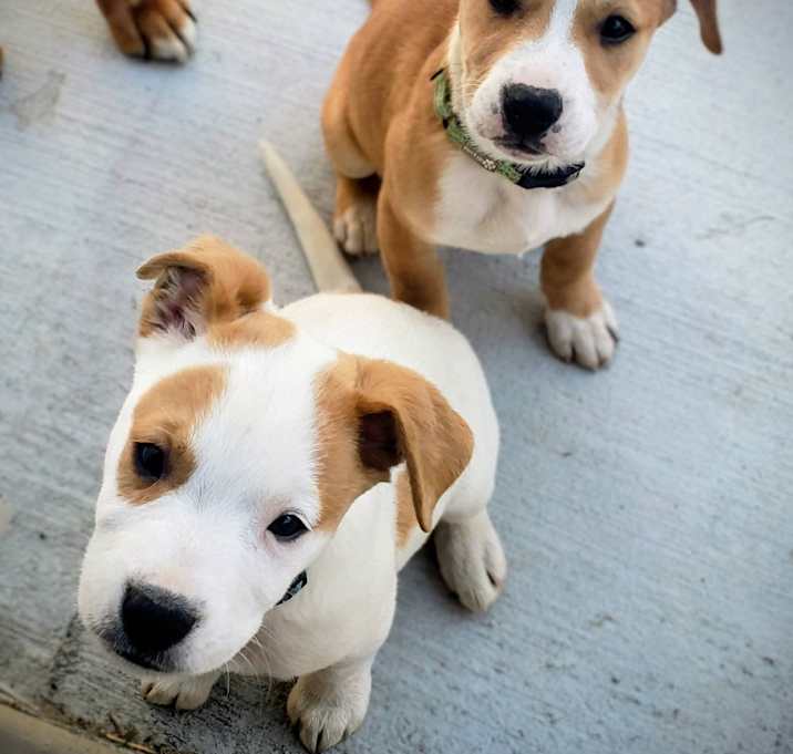 Photo of Indira Newbury