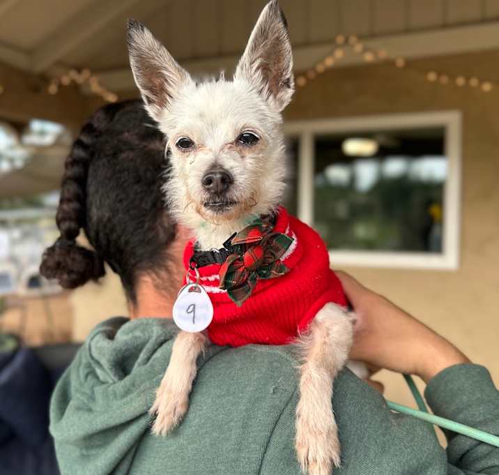 Photo of Katherine Johnson