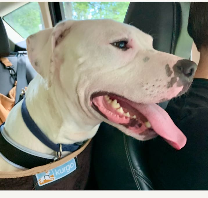 Photo of Pan (Japan)