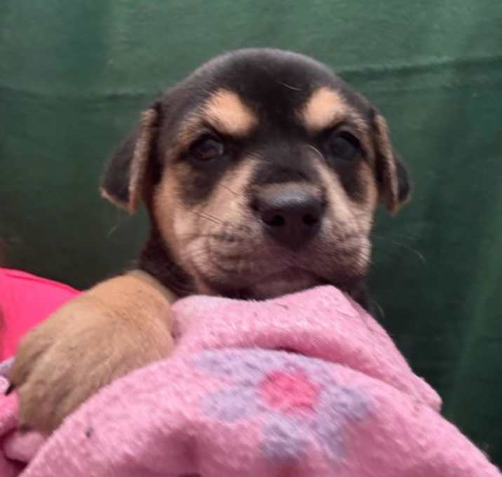 Photo of Highlighter