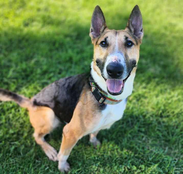 Photo of Barksdale (C000-502) - Chino Hills Location