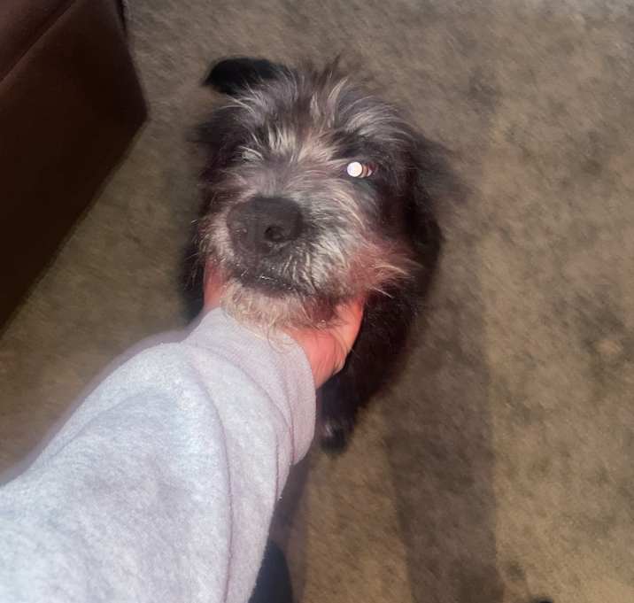 Photo of Abby (Abyss)