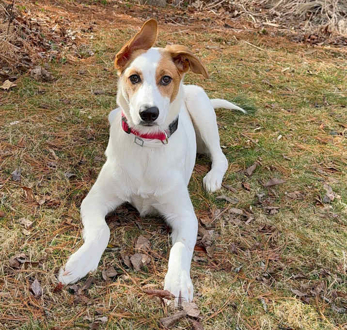 Photo of Amina ~ meet me!