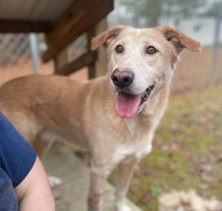 Photo of ELM 61(Lucky) 🐾