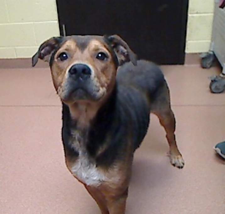 Photo of *BUDDY THE ELF*