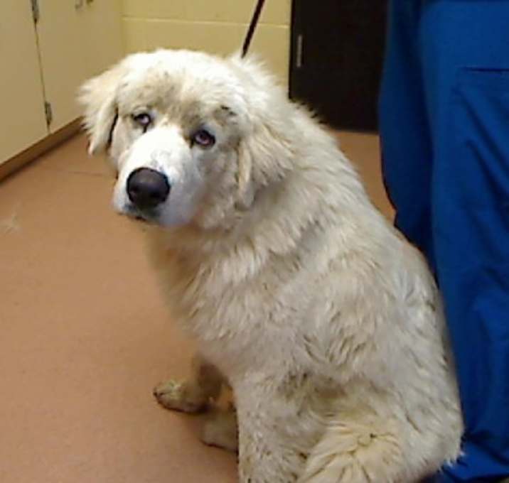 Photo of *MR. CLAUS*