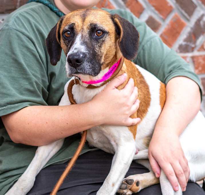 Photo of Hannah Montana