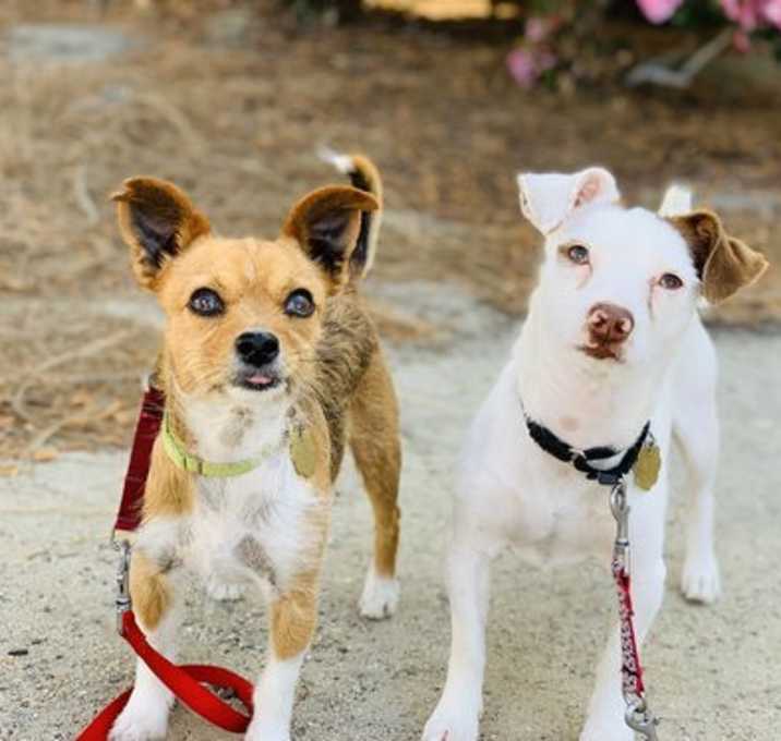 Photo of Kirby and Wayne