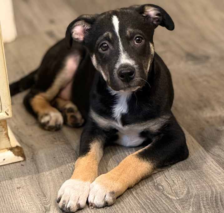 Photo of Rex O'Lution