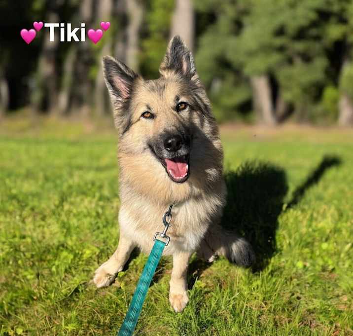 Photo of Tiki-Stunning and Sweet!