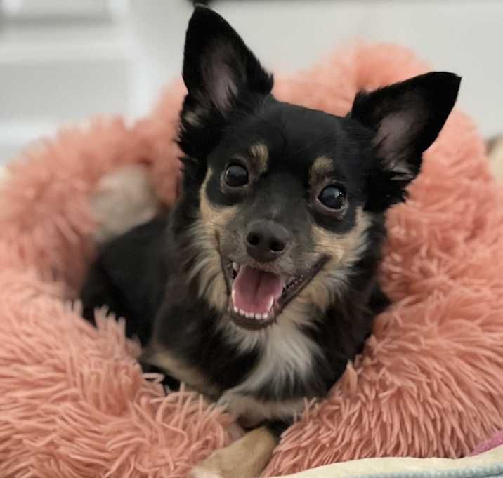 Photo of Miss Precious