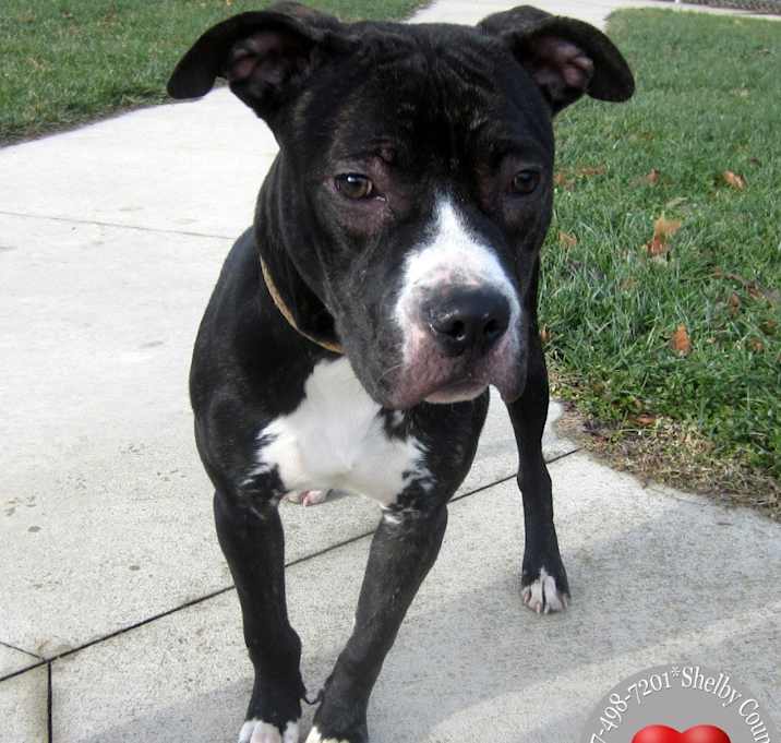 Photo of Dallas Yrly 501