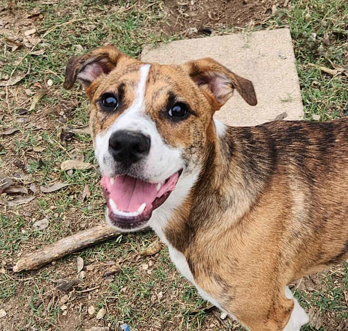 Photo of Noah JuM/AL