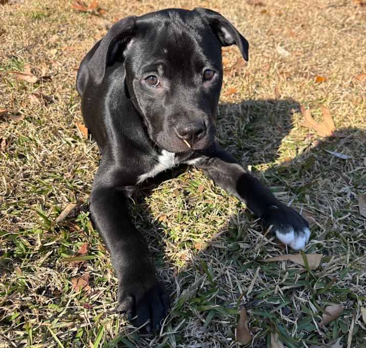 Photo of Munch-A-Lump