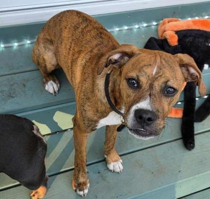 Photo of Mr. Carl Bones