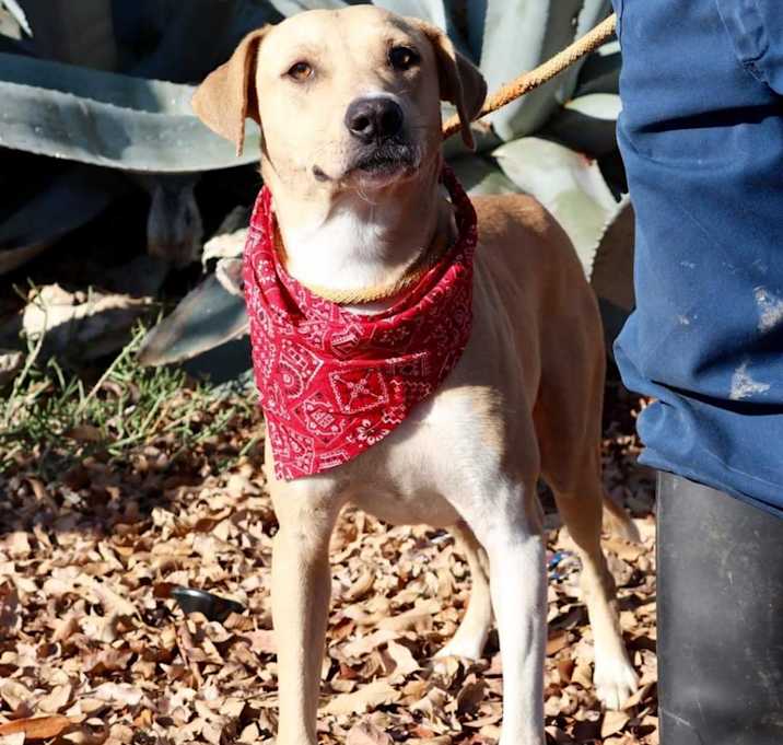 Photo of McMuffin JuM