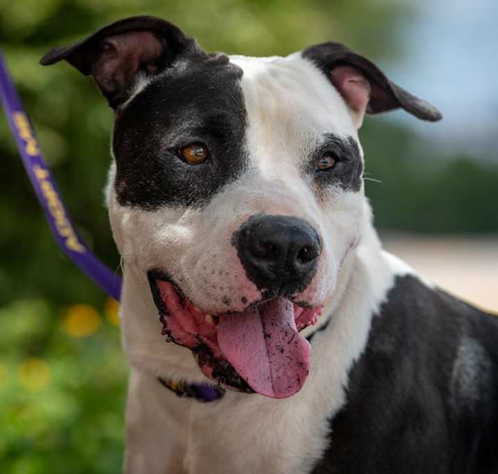 Photo of Ferdinand JuM