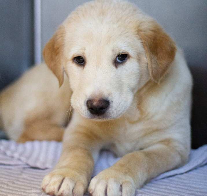 Photo of Fiyero 21974