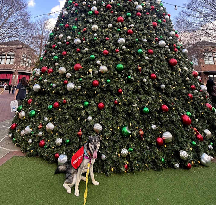 Photo of Banks 21682