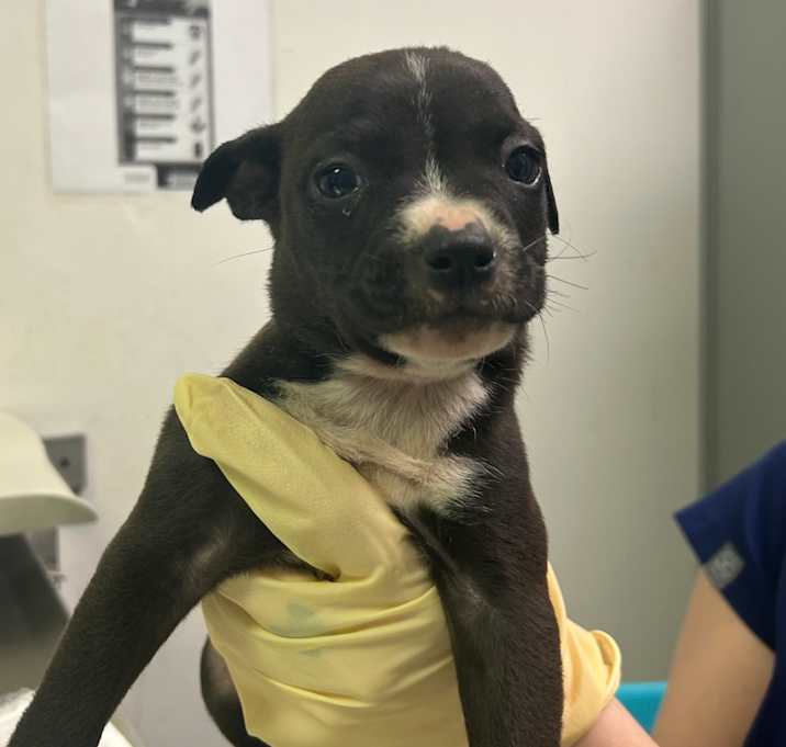 Photo of Calvin Klein