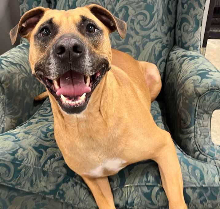 Photo of Axel 112D25