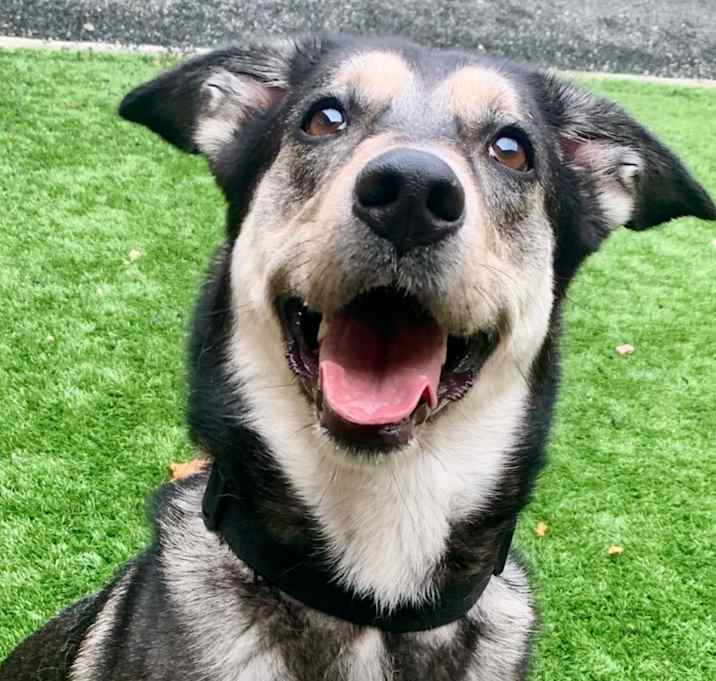 Photo of URGENT! Save Me Please