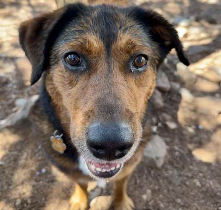 Photo of Aurora *Sponsored*