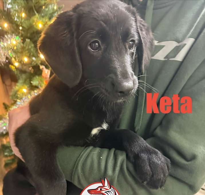 Photo of Keta