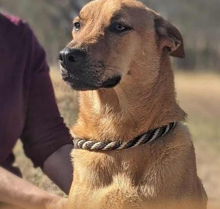 Photo of Tony Bennett