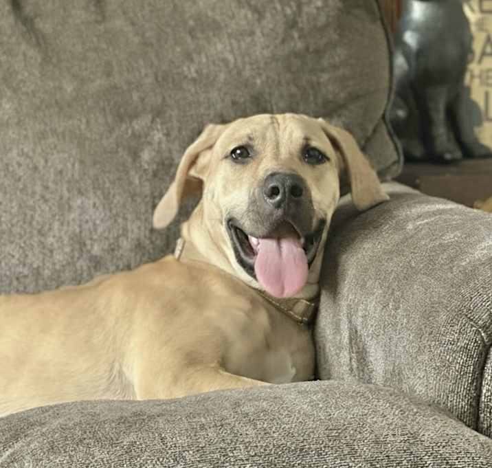 Photo of Sweet Baby in CT