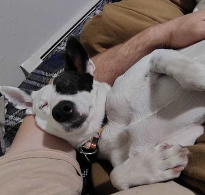 Photo of Little Boy #1