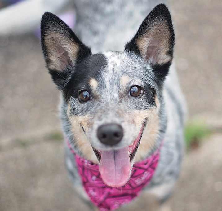 Photo of Chelsea Belle