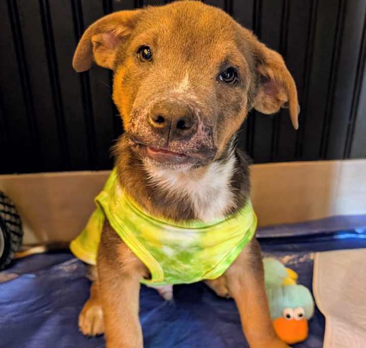 Photo of Mickey RR UT