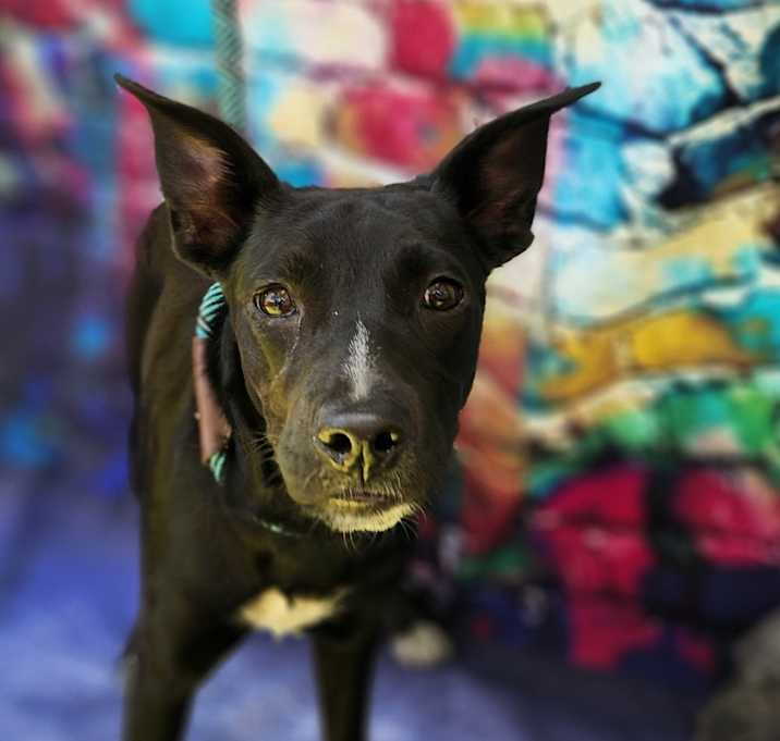 Photo of Arly (Arlington) JuM